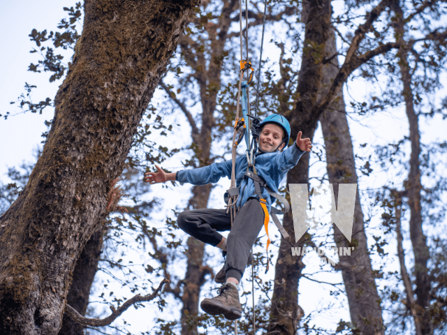 Trailblazer Gallery Image