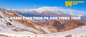 Kuari Pass Trek vs Nag Tibba Trek: Which One is Best for You in 2025?
