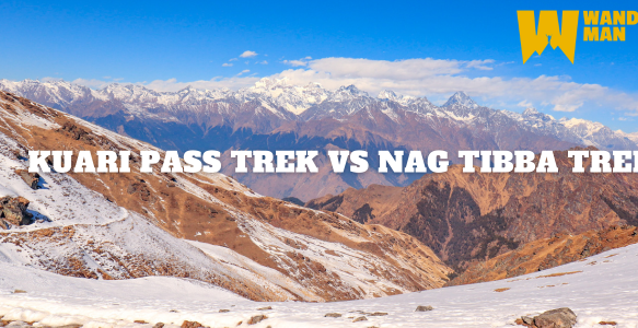 Kuari Pass Trek vs Nag Tibba Trek: Which One is Best for You in 2025?