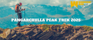 Pangarchulla Peak Trek 2025 – Complete Guide