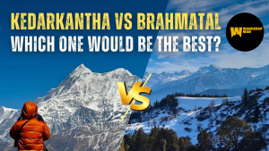 Brahmatal Trek vs Kedarkantha Trek: Which One Should You Choose?