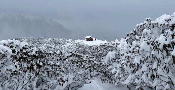 Ultimate Guide to 30 Winter Treks in India