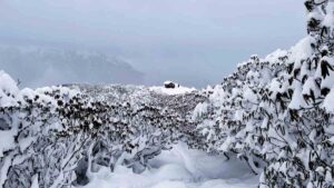 Winter Treks in India I Ultimate Guide to 35
