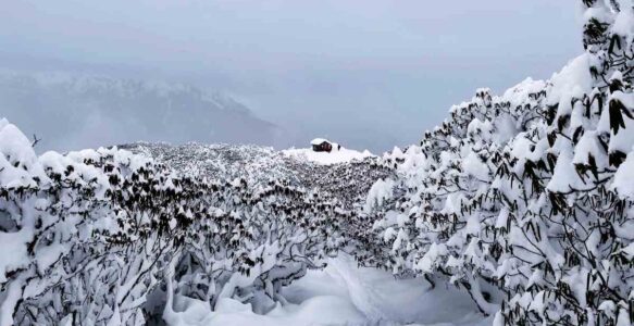 Winter Treks in India I Ultimate Guide to 35