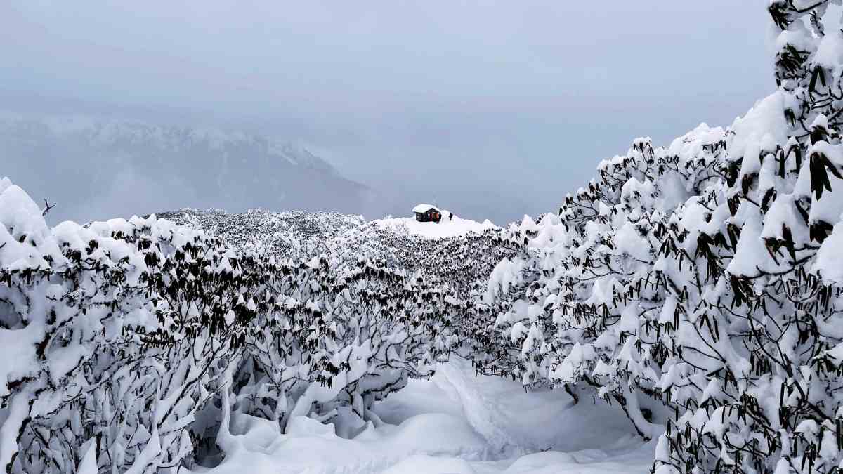 Winter Treks in India I Ultimate Guide to 35
