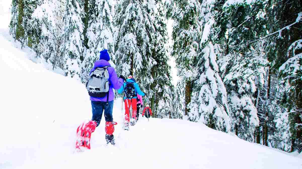 Snow treks in india for winter