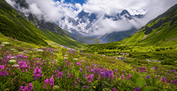 Valley of Flowers Trek 2026 | India’s Most Famous Trail