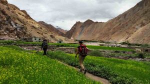 Markha Valley Trek in Ladakh: Everything You Need to Know