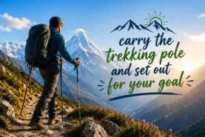 How to Carry and Use a Trekking Pole? beginner’s guide