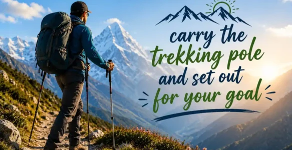 How to Carry and Use a Trekking Pole? beginner’s guide